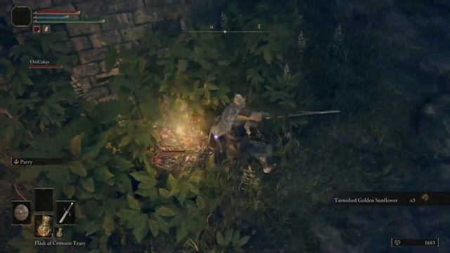 Full Multiplayer Co-Op [Part 1] - Elden Ring Seamless (Margit, Leonine Misbegotten, Darriwil) смотреть онлайн