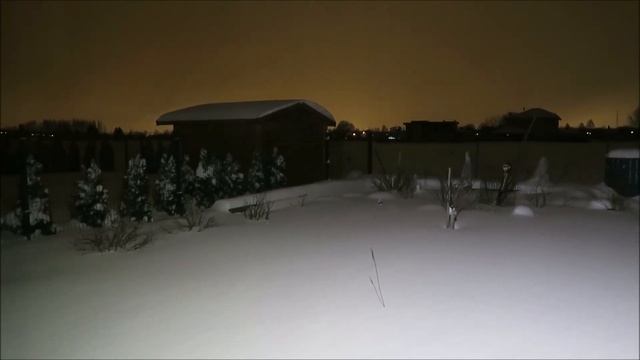 Мои экзотические растения: зима, завалило снегом, цитрусы почуяли весну смотреть онлайн