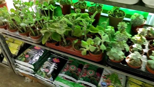 цены на цветы в Краснодаре смотреть онлайн