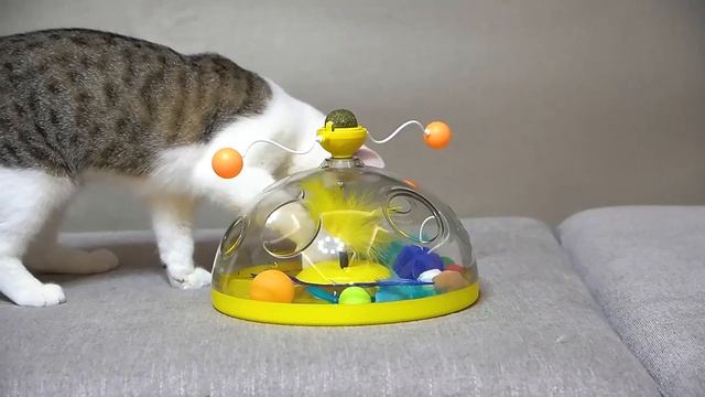 игрушка для питомцев