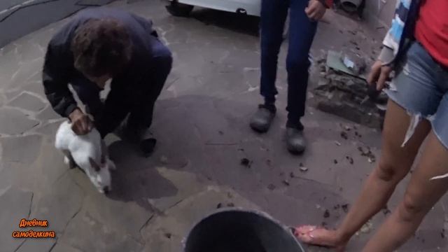 Поездка за новым питомцем! Что за зверь.?