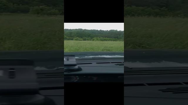 Лада Нива Тревел на природе #ниватревел #ладанива #новаянива смотреть онлайн