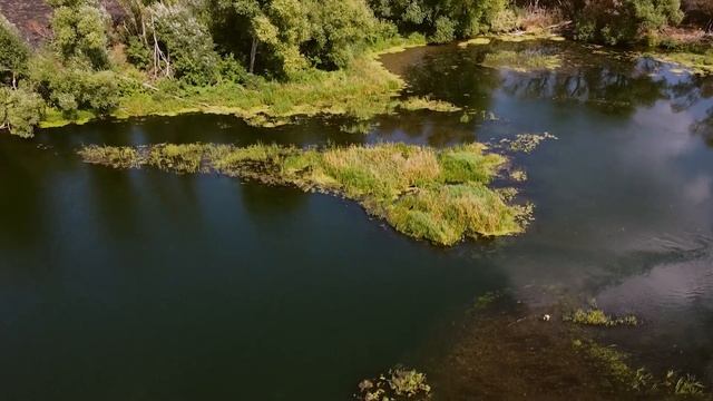 Пятый день сплава в Данков. Фидер и щучки на джербейт с катамарана ???️ Исток - Лебедянь 4. Река До смотреть онлайн
