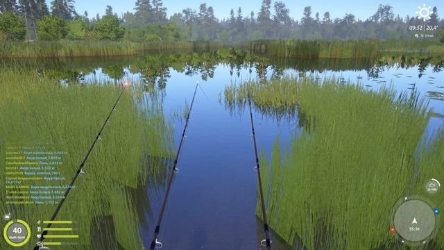 Русская рыбалка 4 - озеро Медвежье - Линь обычный трофейный и золотистый смотреть онлайн