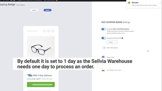 The Sellvia Fast Shipping Badge | WordPress+Alidropship plugin смотреть онлайн