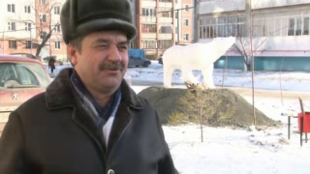 Дом белого медведя смотреть онлайн