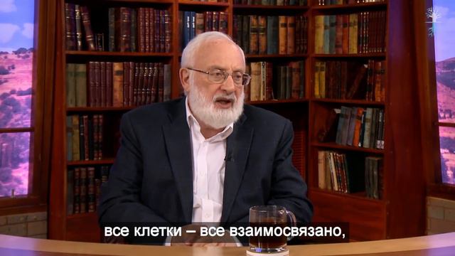Проводники. Спрашивали ❓ Отвечаю❗ смотреть онлайн