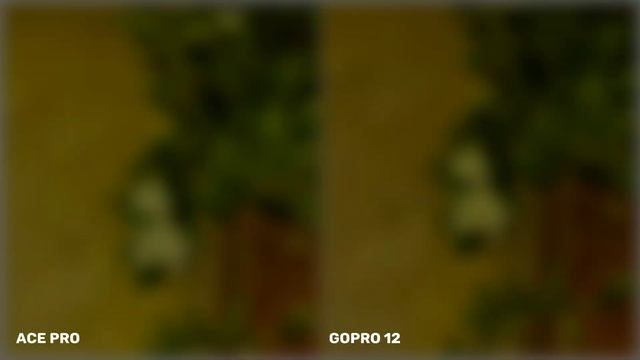 Insta360 ACE Pro VS Gopro Hero 12 Black | Camera Test & Comparison