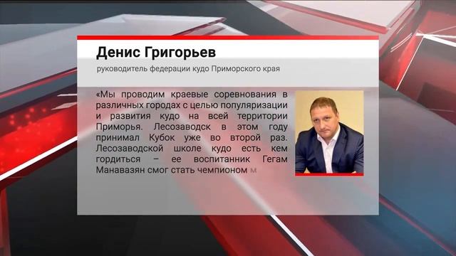 Кубок Приморского края по КУДО в Лесозаводске 29.04.17. смотреть онлайн