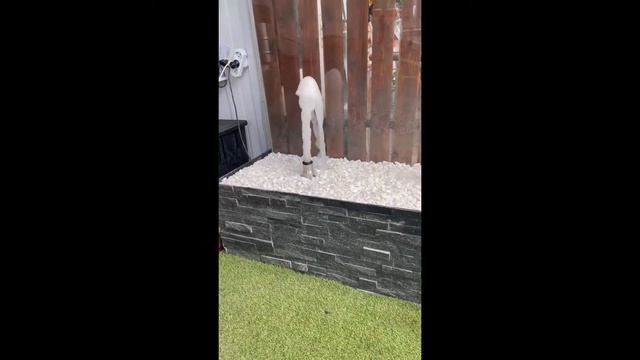 Фонтанная насадка HQ-CP 25 «Гейзер» смотреть онлайн