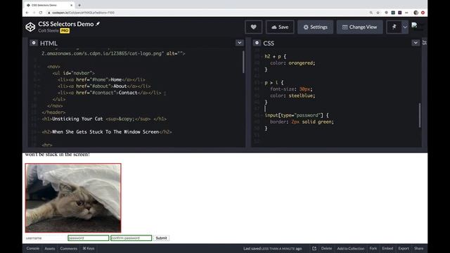 Top CSS Selectors You Should Know - Colt's Code Camp смотреть онлайн