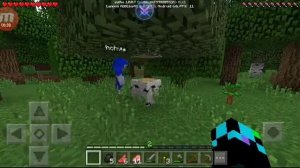 Обычный сонник осваивают minecraft