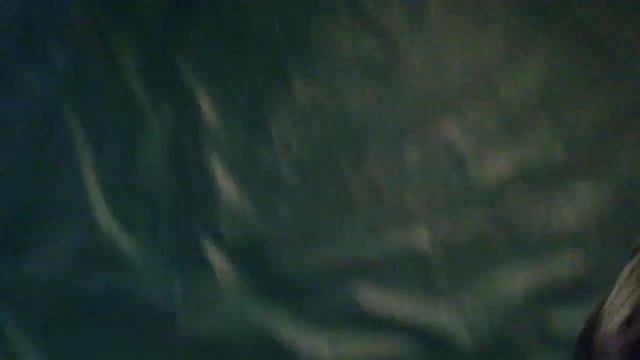 с\к Адреналин г.Новомосковск