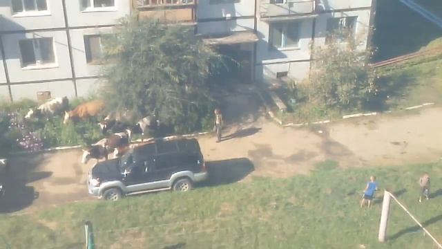 Есть несохраненные изменения смотреть онлайн