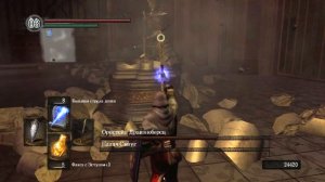 Орнштейн Драконоборец и Палач Смоуг Dark Souls Дарк Соулс тактика как победить боссов. Автор VeLiD