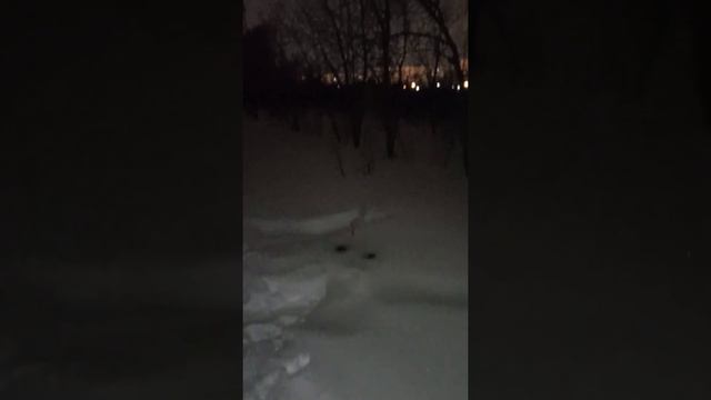 Ракеты🚀/// Фонтан⛲/// и Петарды Бах💥 смотреть онлайн