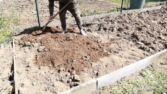 Lammkeule im Erdloch gegart | Und wie der Knochen sich vom Fleisch löst! смотреть онлайн