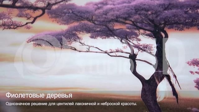 3D фотообои "Фиолетовые деревья" смотреть онлайн