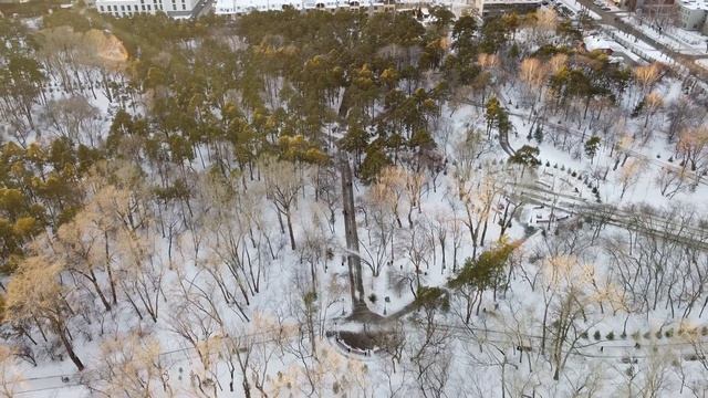 Александро-Невского Ново-Тихвинский монастырь смотреть онлайн