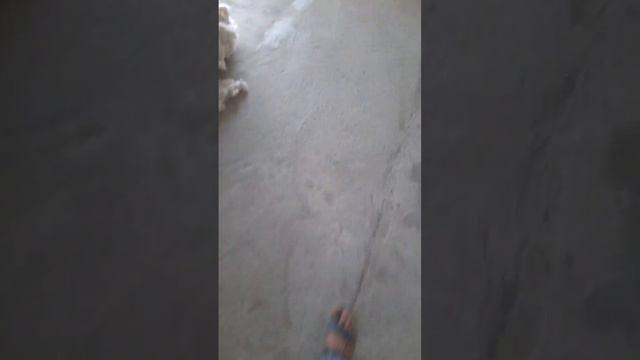 Угары ст7.11 кольца. Большой объем на пересечение. Успей приобрести,завтра будет поздно смотреть онлайн