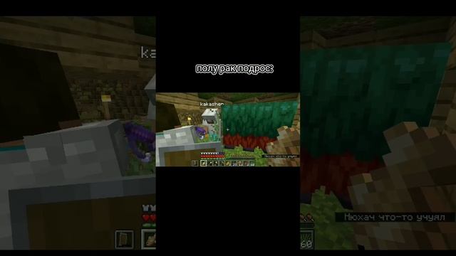 нюхач подрос#майнкрафт #minecraft #мем #troll #1.20 #нюхач #shorts