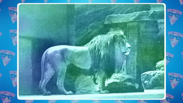 Последние Фотографии Гигантских Вымерших Животных смотреть онлайн