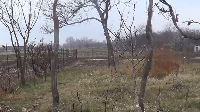 Сильная Молитва против сахарного диабета