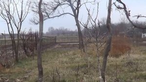 Сильная Молитва против сахарного диабета