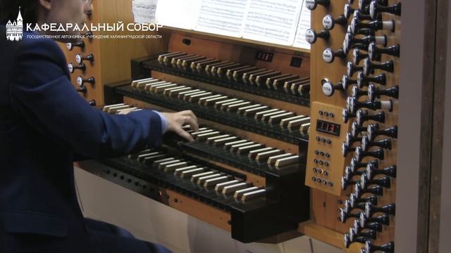 Еженедельный проект «Орган дома» - Прямая трансляция из Кафедрального собора смотреть онлайн