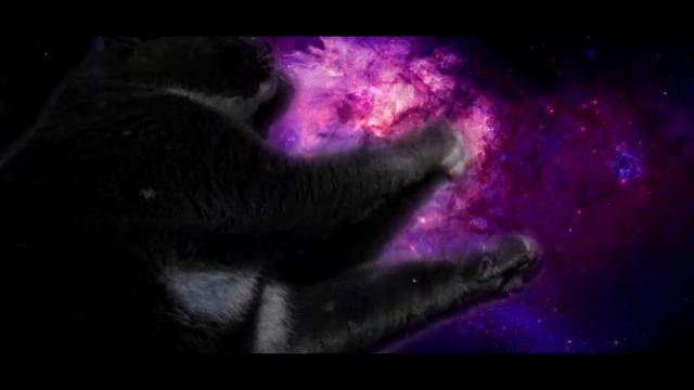 SPACE CAT | СУПЕР КОТ В КОСМОСЕ | SUPER CAT смотреть онлайн