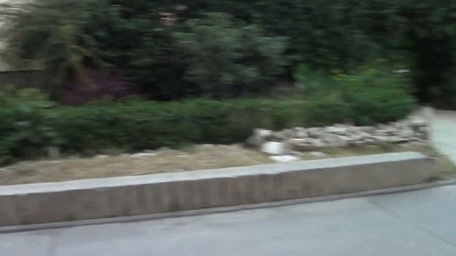 Трюк на самокате (тейл вип) смотреть онлайн