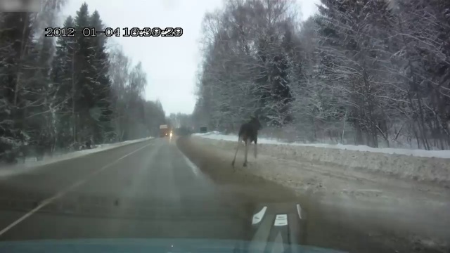 Лось не везунчик смотреть онлайн