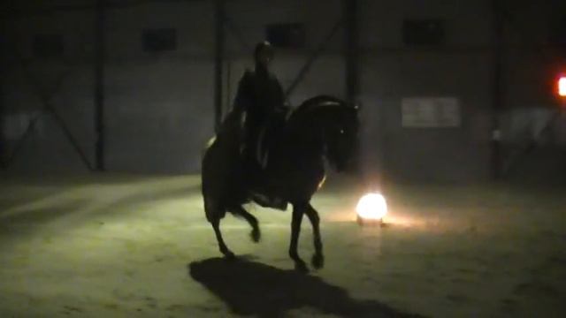 PAPITO 8:ESPECTACULO 