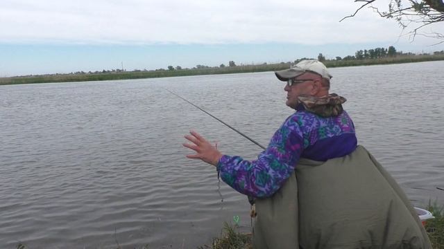 Ее Величество  ВОБЛА. Демонстрирую!!!!!