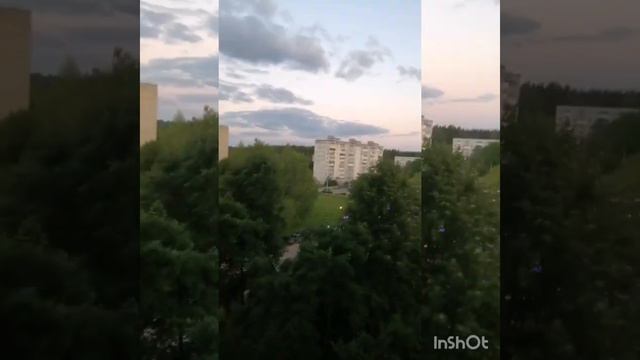 пение птицы на рассвете всем доброго утра.!😊🐦 смотреть онлайн