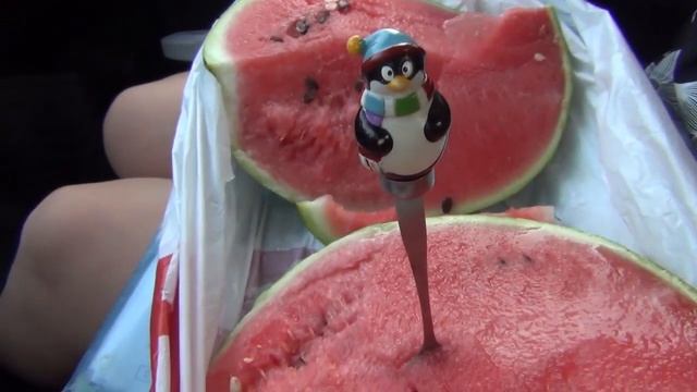 МШ в отпуске. День 11.24 авг. Молдавские стройки. Мнение о стране. смотреть онлайн