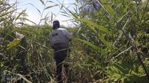 Рыбалка в Северной Осетии. Ловля форели на роднике. Часть 1. Artfishing.Vlog #2