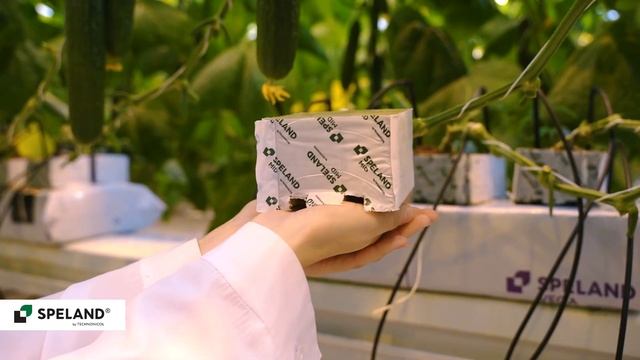 SPELAND. Отзыв клиента. АО «Тепличное» г. Екатеринбург