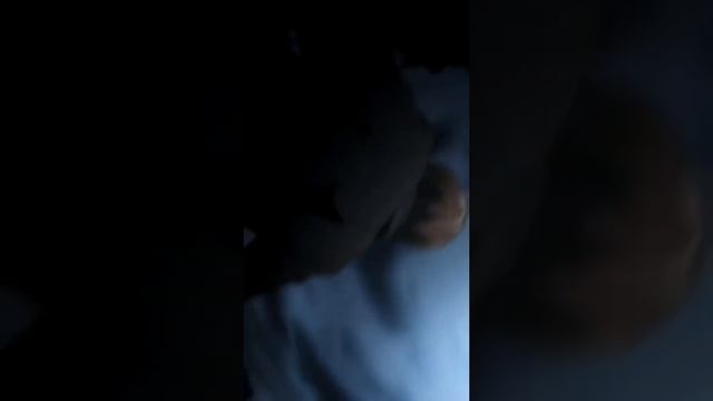 Death Note Yagami Layt edition #animeedit #deathnote #anime смотреть онлайн