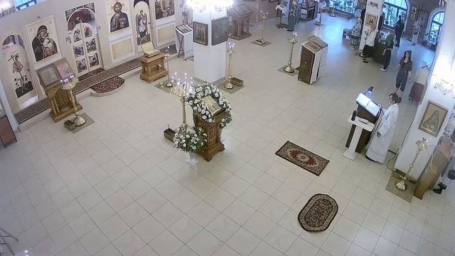 Прямая трансляция