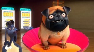 Союз зверей Спасение двуногих  В кино через 2 недели