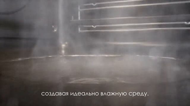 Видео обзор SteamBake (пар) для вкусной выпечки смотреть онлайн