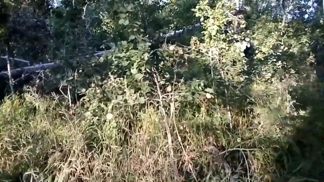 Врата в небо. смотреть онлайн