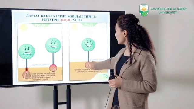 Mavzu Maysazor hududlarda yaproq va nina bargli daraxtlarni joylashtirish смотреть онлайн