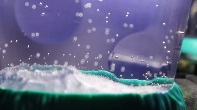 Sea Monkeys Vs. Aqua Dragons (Days 1-13) смотреть онлайн