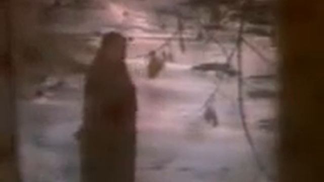 Памяти Михаила Круга( храни его на письменном столе) смотреть онлайн