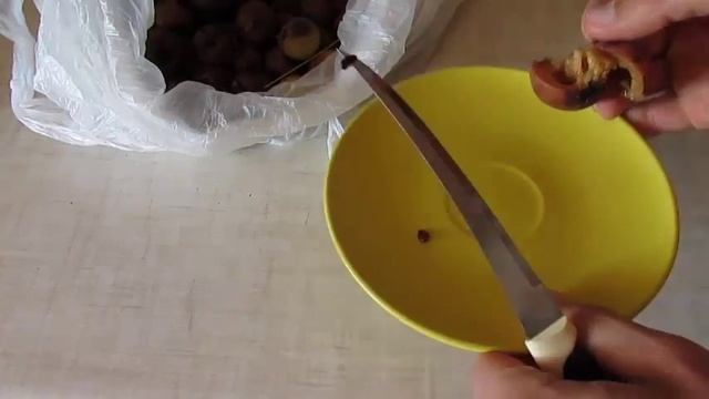 Груша дичка - заготівля насіння смотреть онлайн