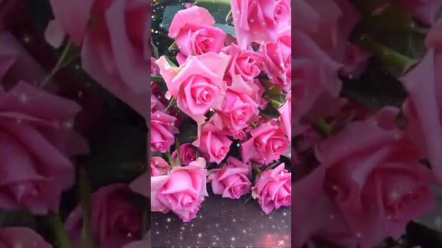 " Миллион алых роз" смотреть онлайн