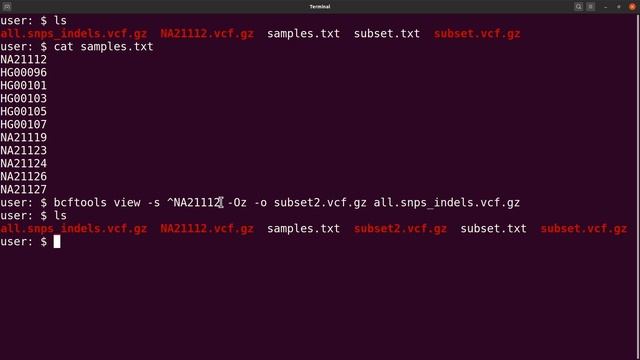 BCFTOOLS view | BCFTOOLS split | Split or Subset VCF files based on Sample IDs смотреть онлайн