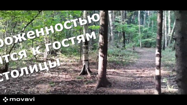 Отличная собака Белла (Белка) ищет хозяина. Находится Москва, Московская область